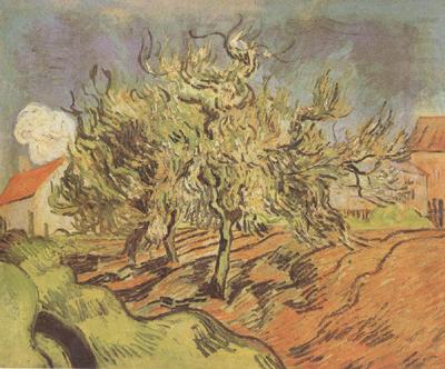 Vincent Van Gogh Landscape with Three and a House (nn04) china oil painting image